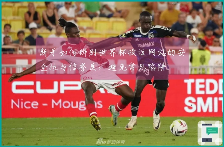 新手如何辨别世界杯投注网站的安全性与信誉度，避免常见陷阱