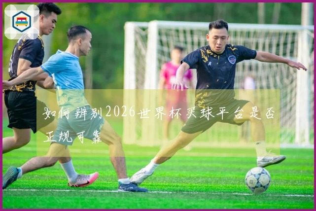 如何辨别2026世界杯买球平台是否正规可靠