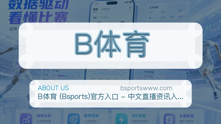 B体育关于平台与用户服务展示